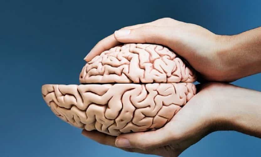 Beyin Küçülmesi – Demans Neden Olur, Nasıl Anlaşılır?